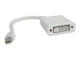 Mini DisplayPort (Mini DP) to DVI